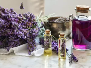 beneficios para cultivar plantas aromatizadas