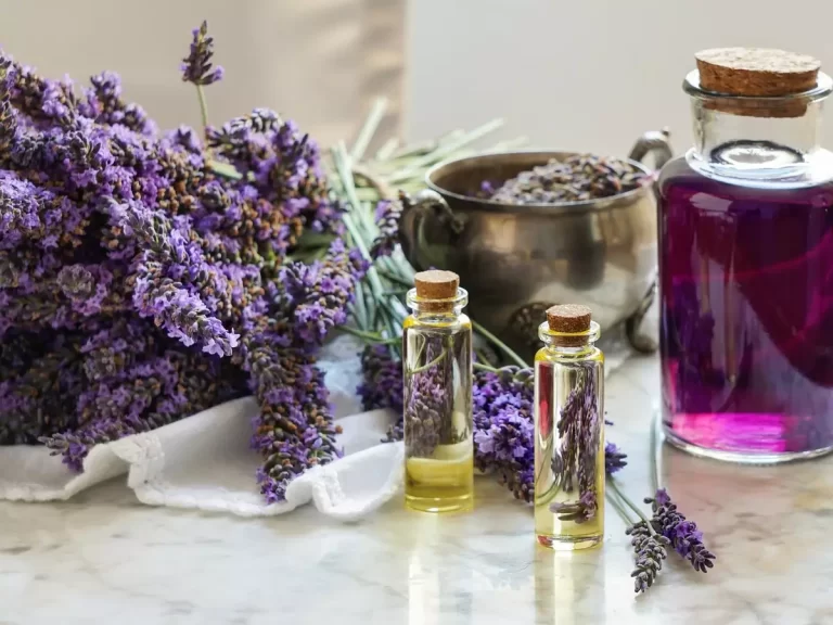 beneficios para cultivar plantas aromatizadas
