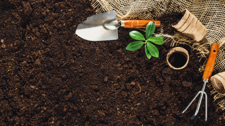 Dicas para jardinagem
